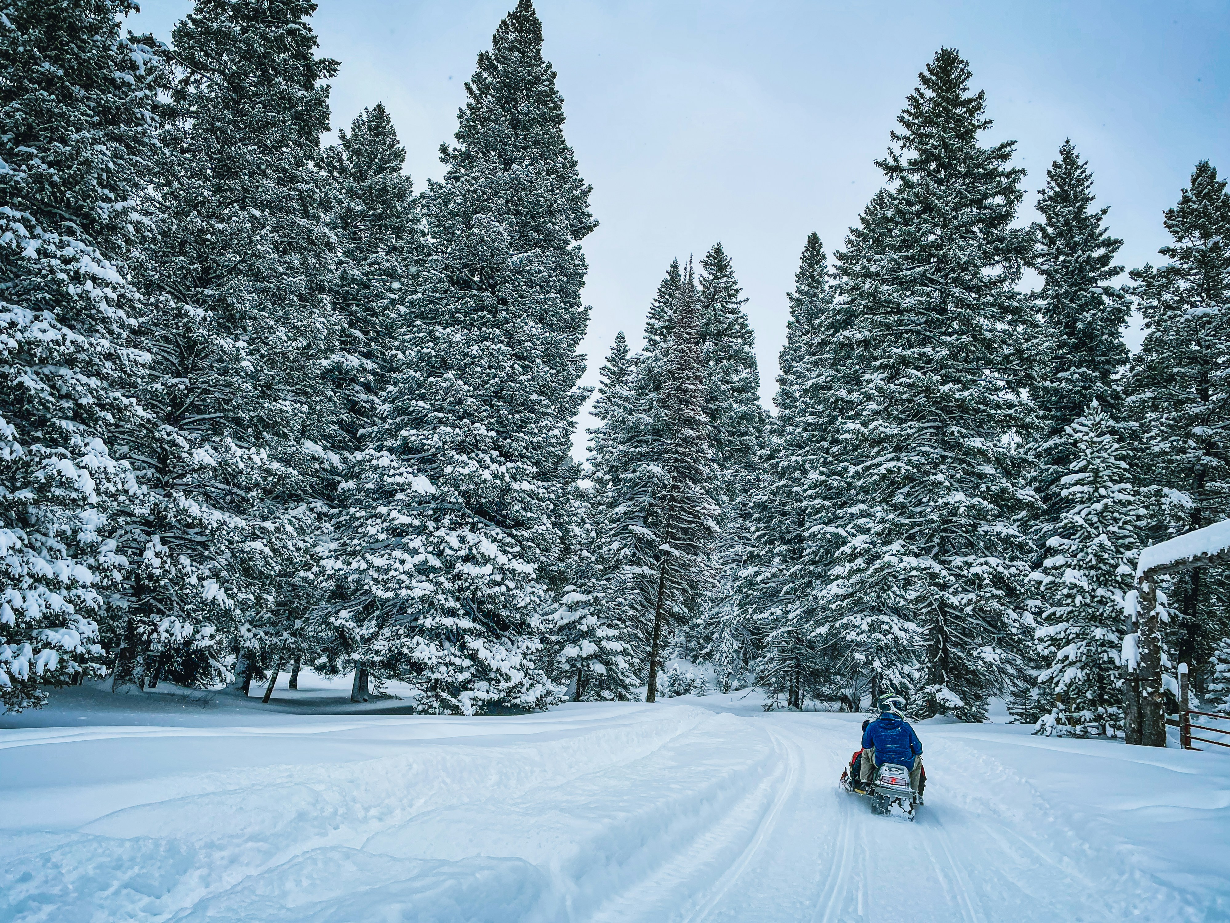 Mountain Sled Backcountry Field Test