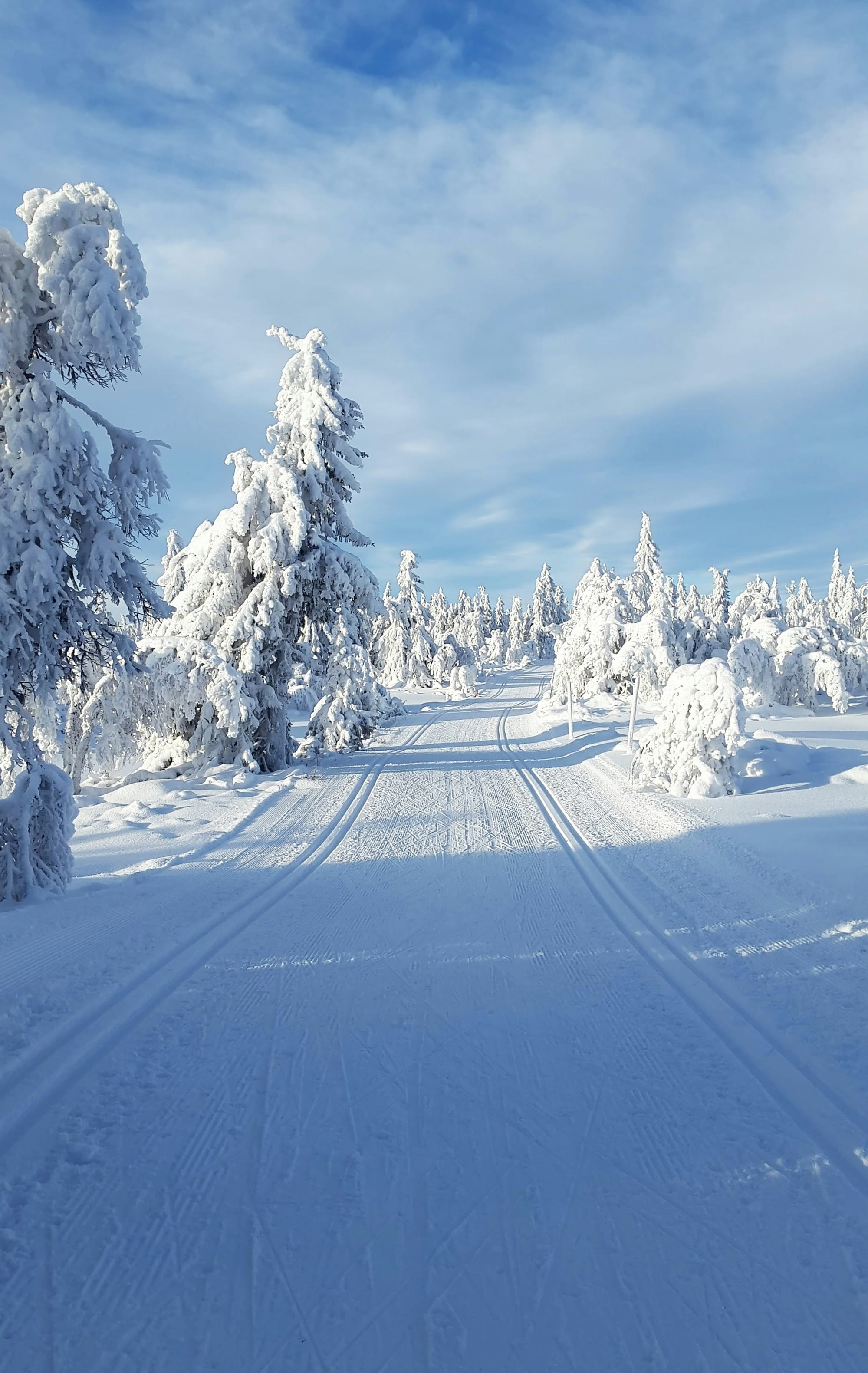 Amanda Wold Kortnes - Curated Alpine Backcountry Photography