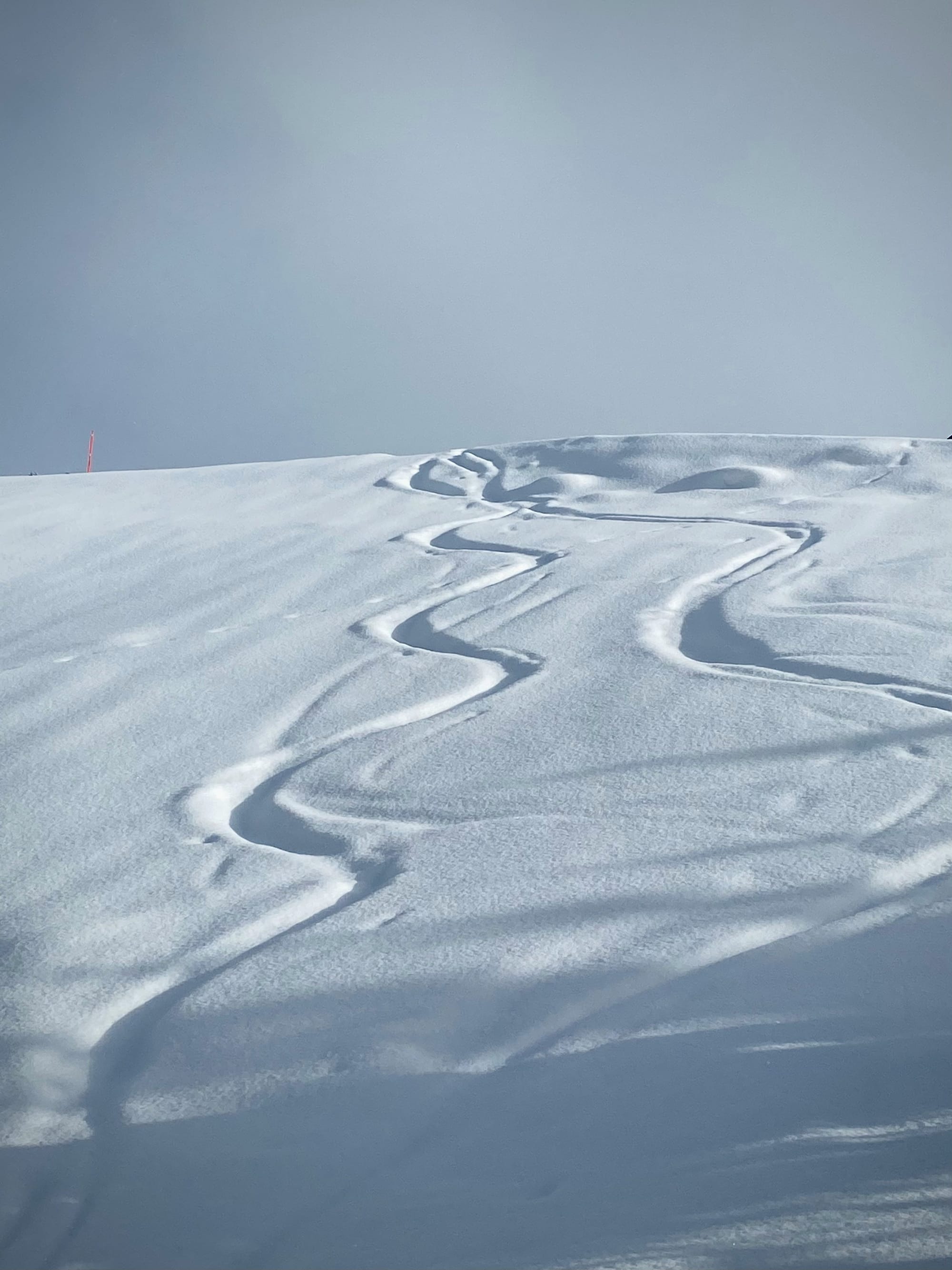 Ski Boot Shell Material: Polyurethane vs Grilamid vs Pebax ??? Cold Flex Retention at -20C