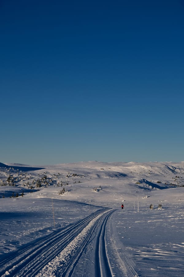 Banff Sunshine Village - Curated Alpine Backcountry Photography