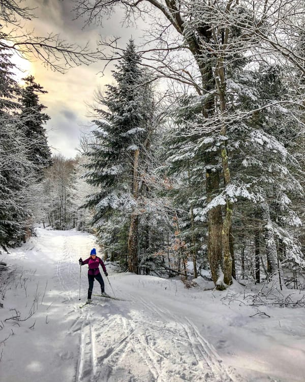 Classic vs Skate XC Ski Geometry: Camber Height, Kick Zone Length, and Glide Wax Compatibility