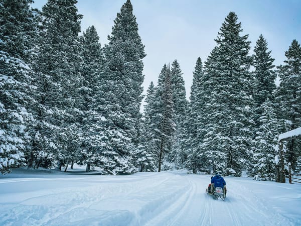 Mountain Paddle Track Dynamics: 2.6" vs 3.0" Lug Flotation in Continental Snowpack