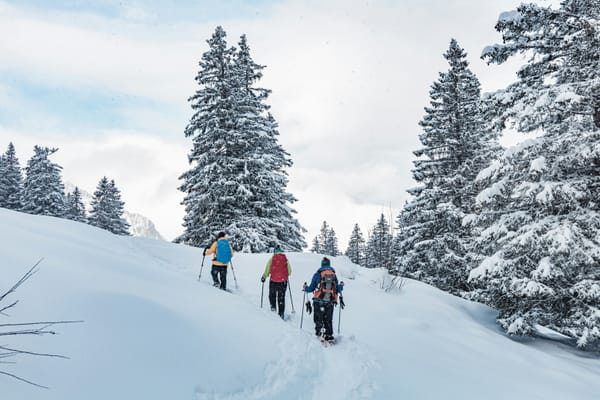 Snowshoe Frame Material: Aluminum vs Composite vs Steel - Weight, Flex, and Cold Temp Performance