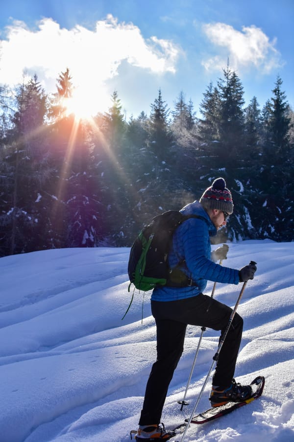 Beacon Search Mode: Mammut vs Ortovox vs Arva - Refresh Rate and Search Strip Width Comparison